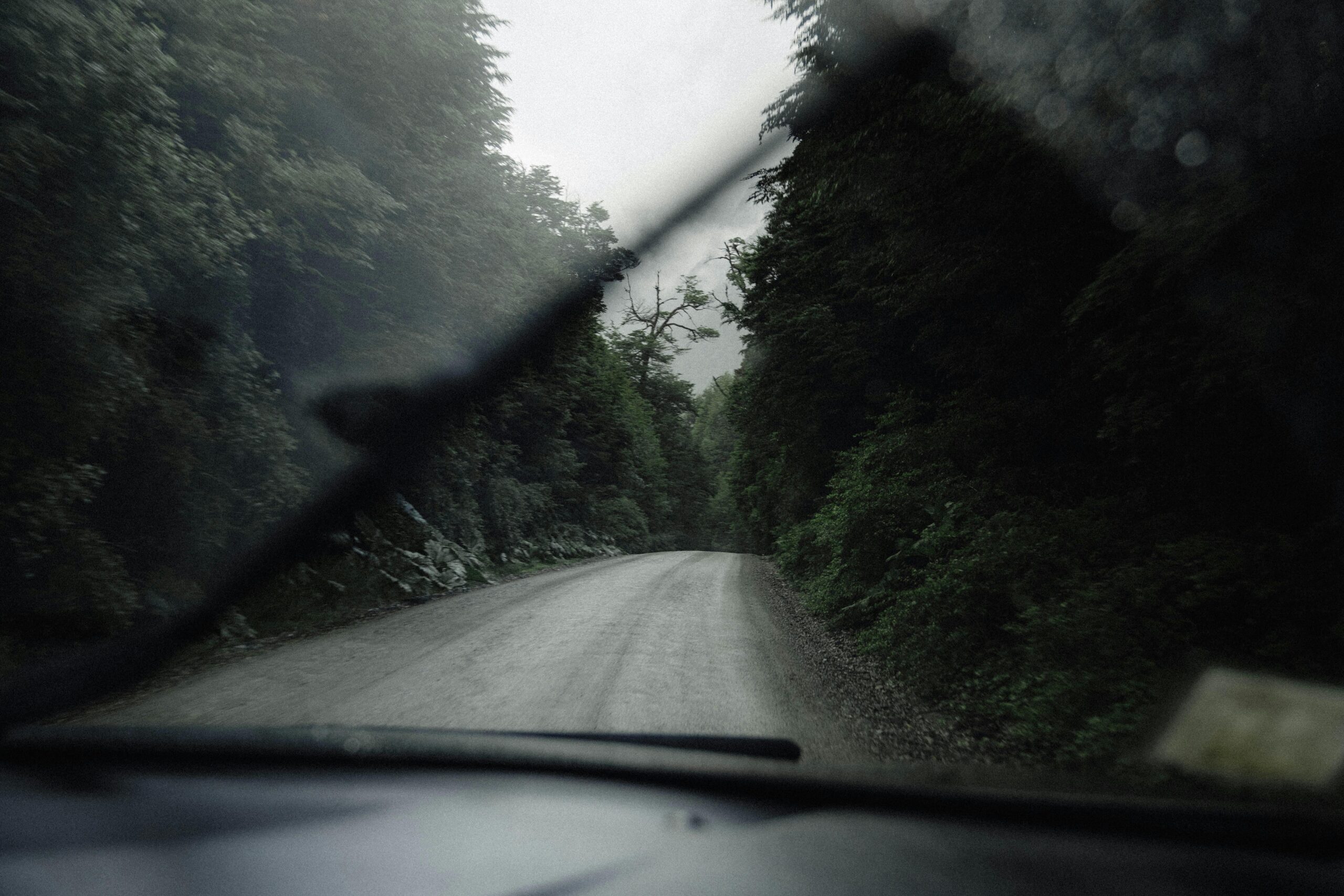 Driving through a forested road, captured from inside a vehicle on a rainy day.